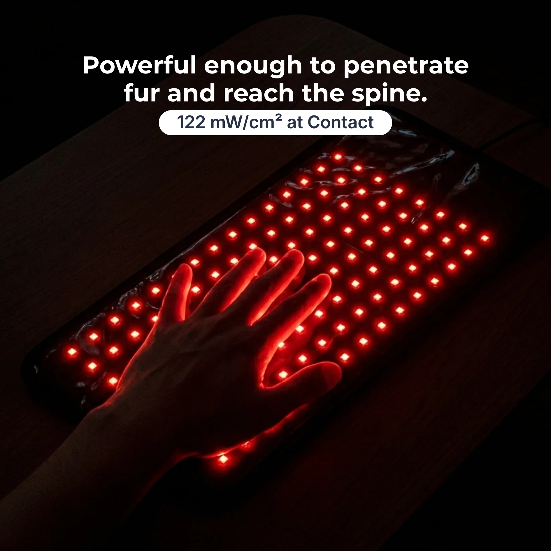 PetLonga Red Light Mat