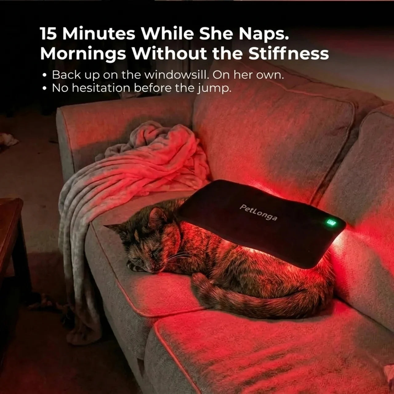 PetLonga Red Light Mat Cat
