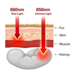 Red Light Mat