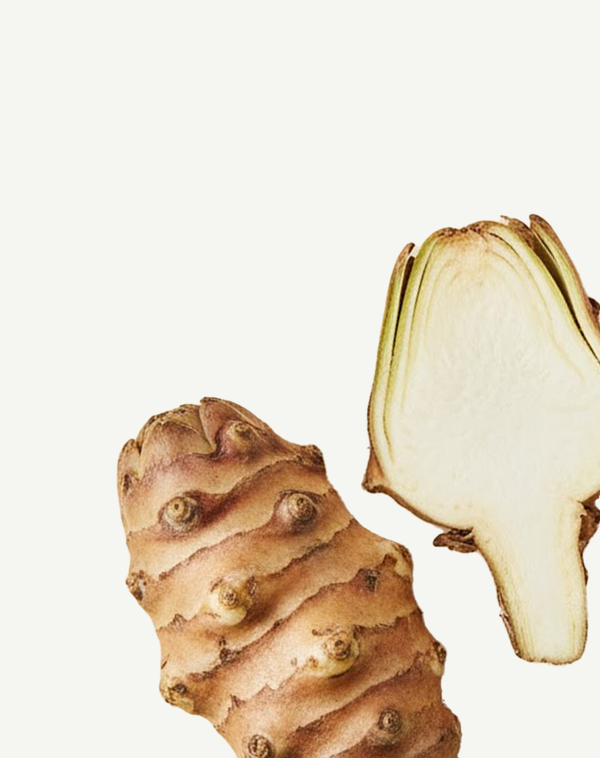 Inulin from Artichoke