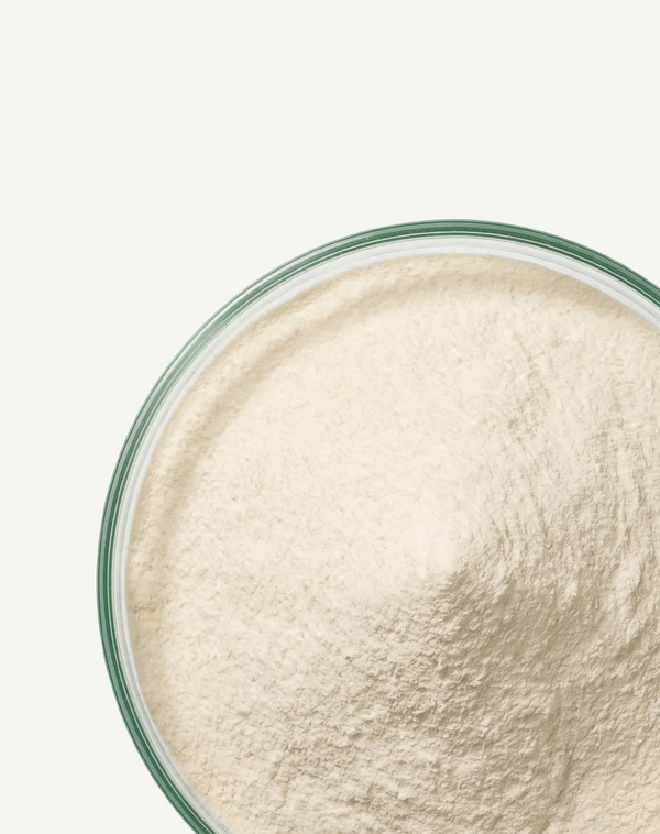 Pancreatin Fungal 4X